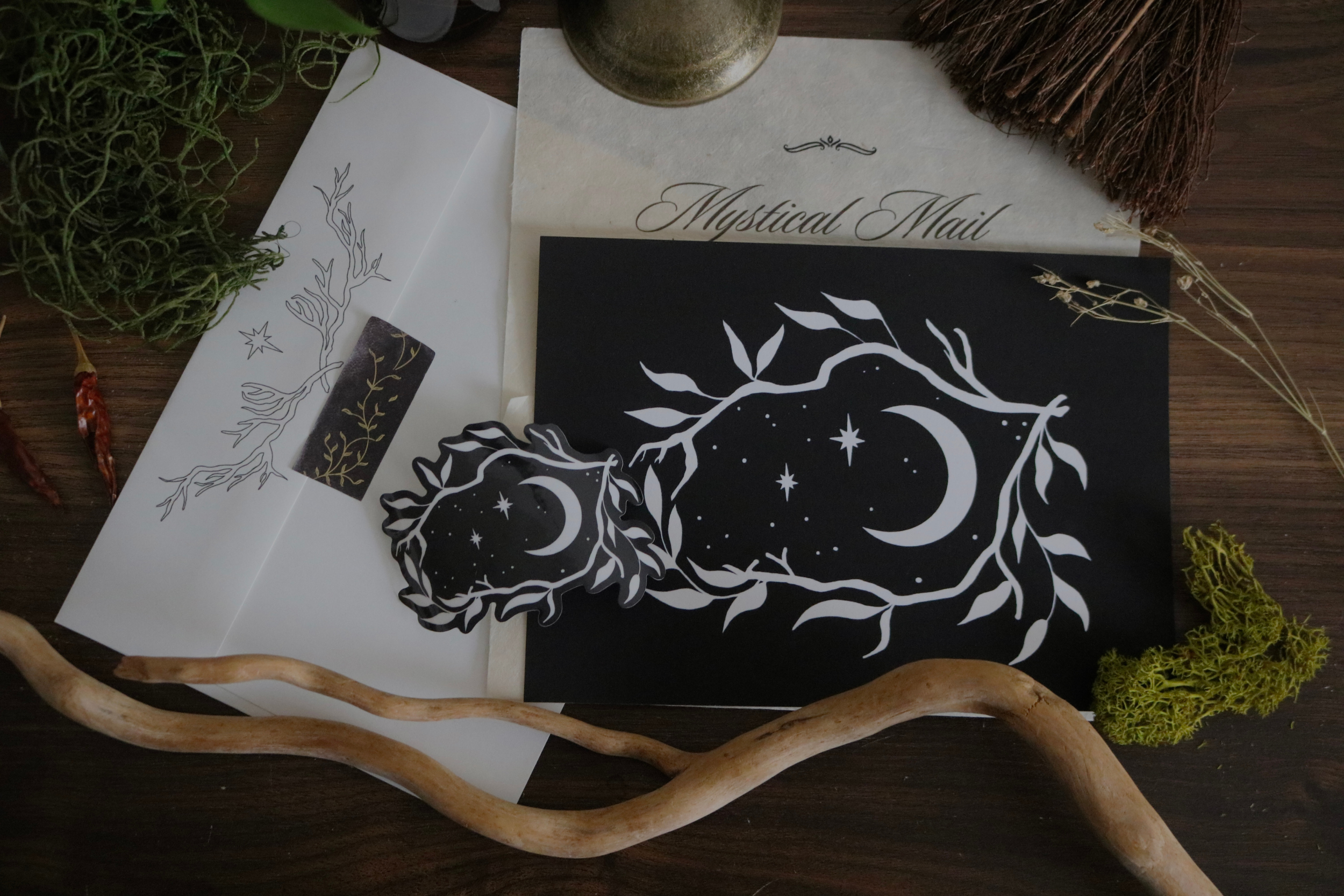 Catch Up Mystical Mail - February 2026