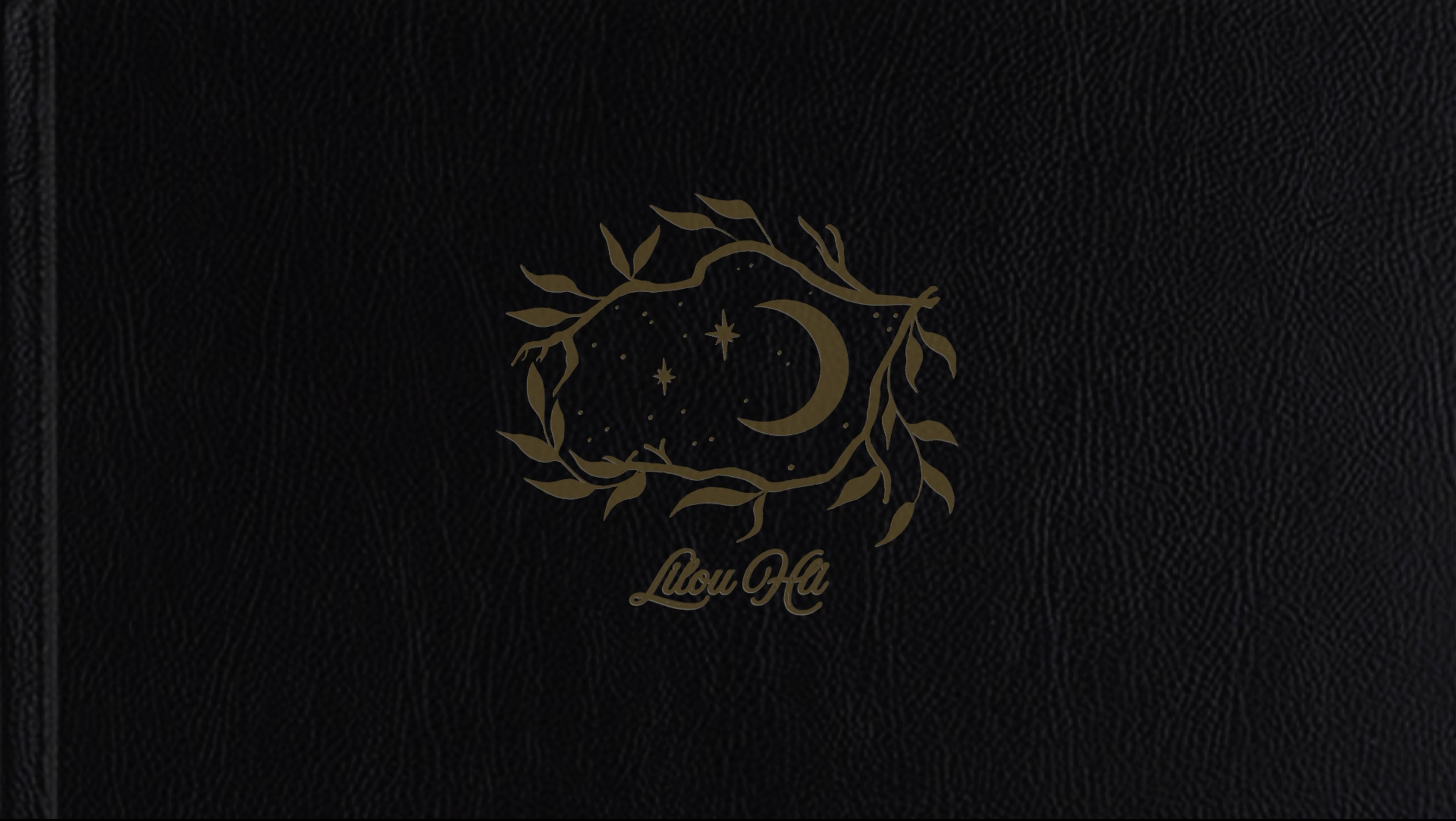 Lilou Hli Intro Screenshot For Web.png