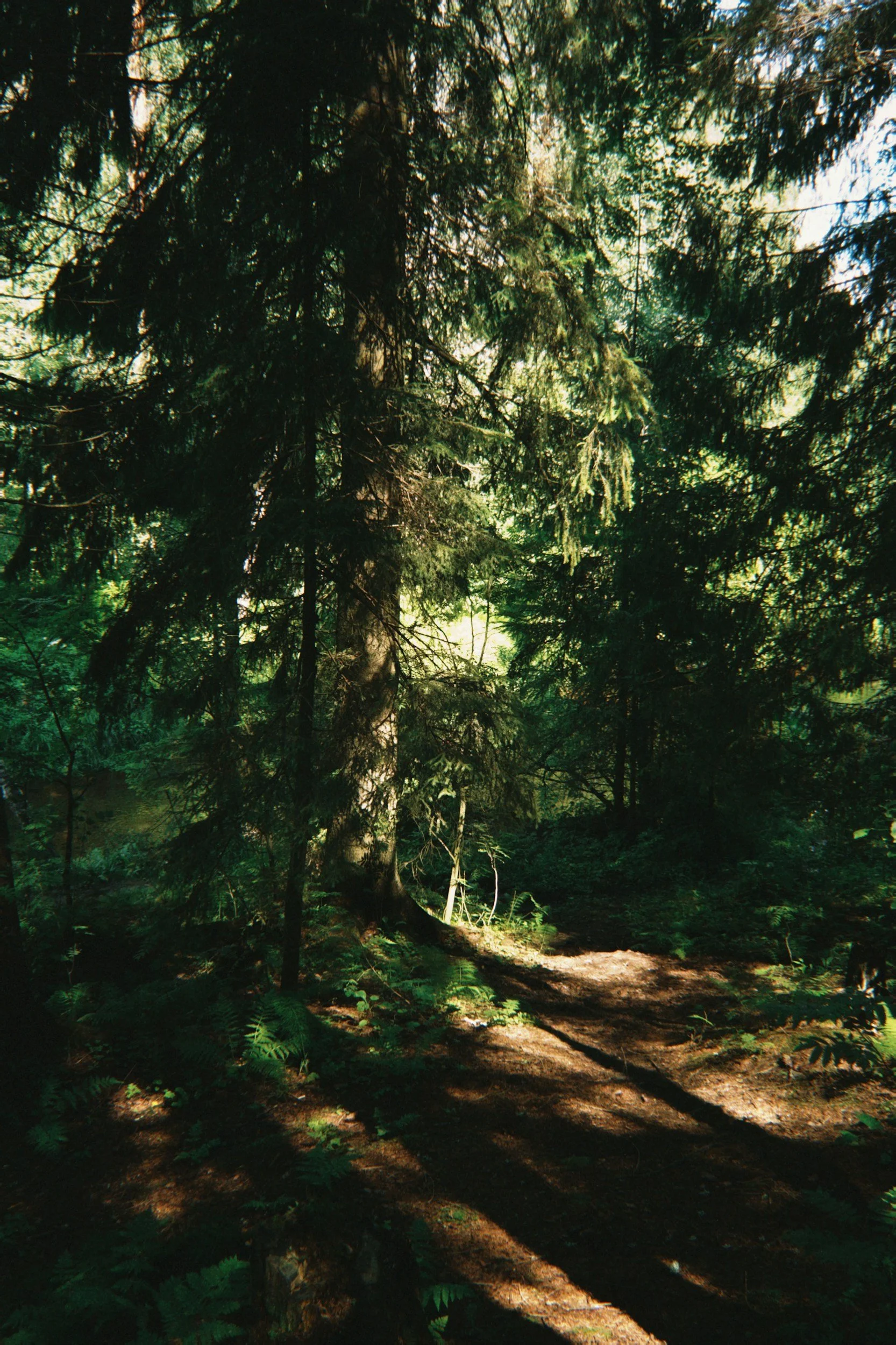 Your First Go-to-Market Plan