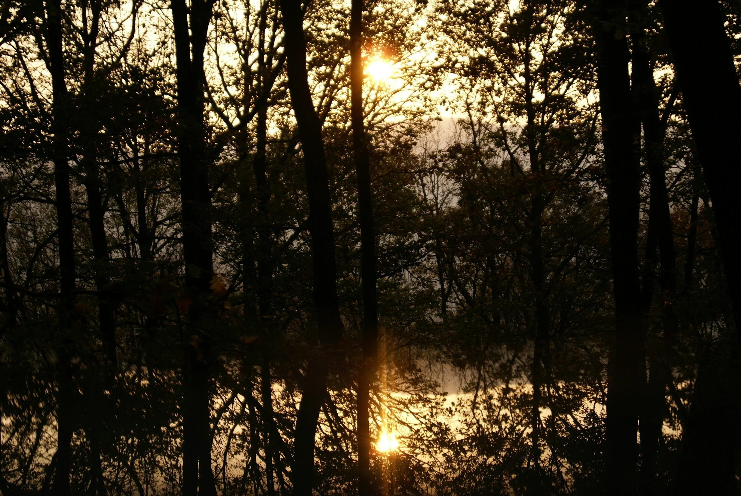 Smart Growth for News-letters