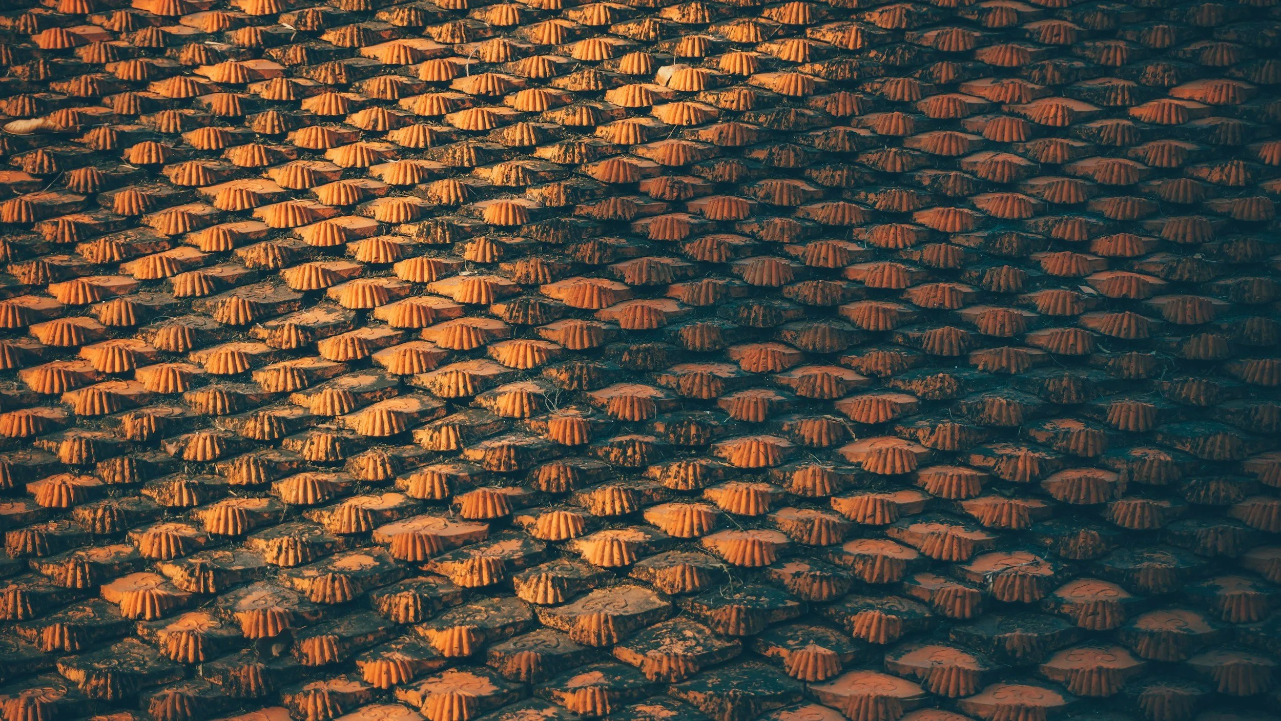 Founder-Led Sales Basics