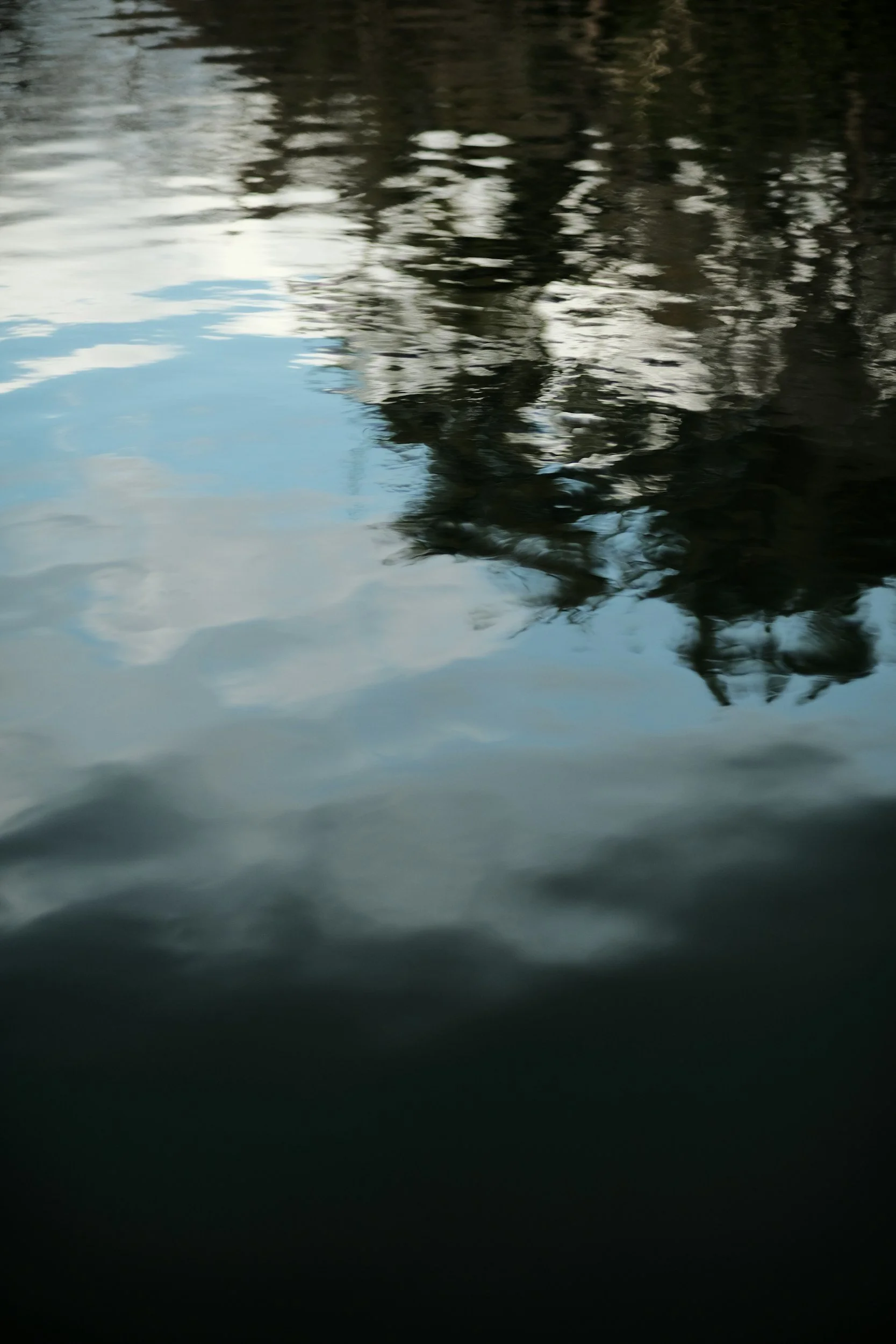 Building a High-Trust Brand