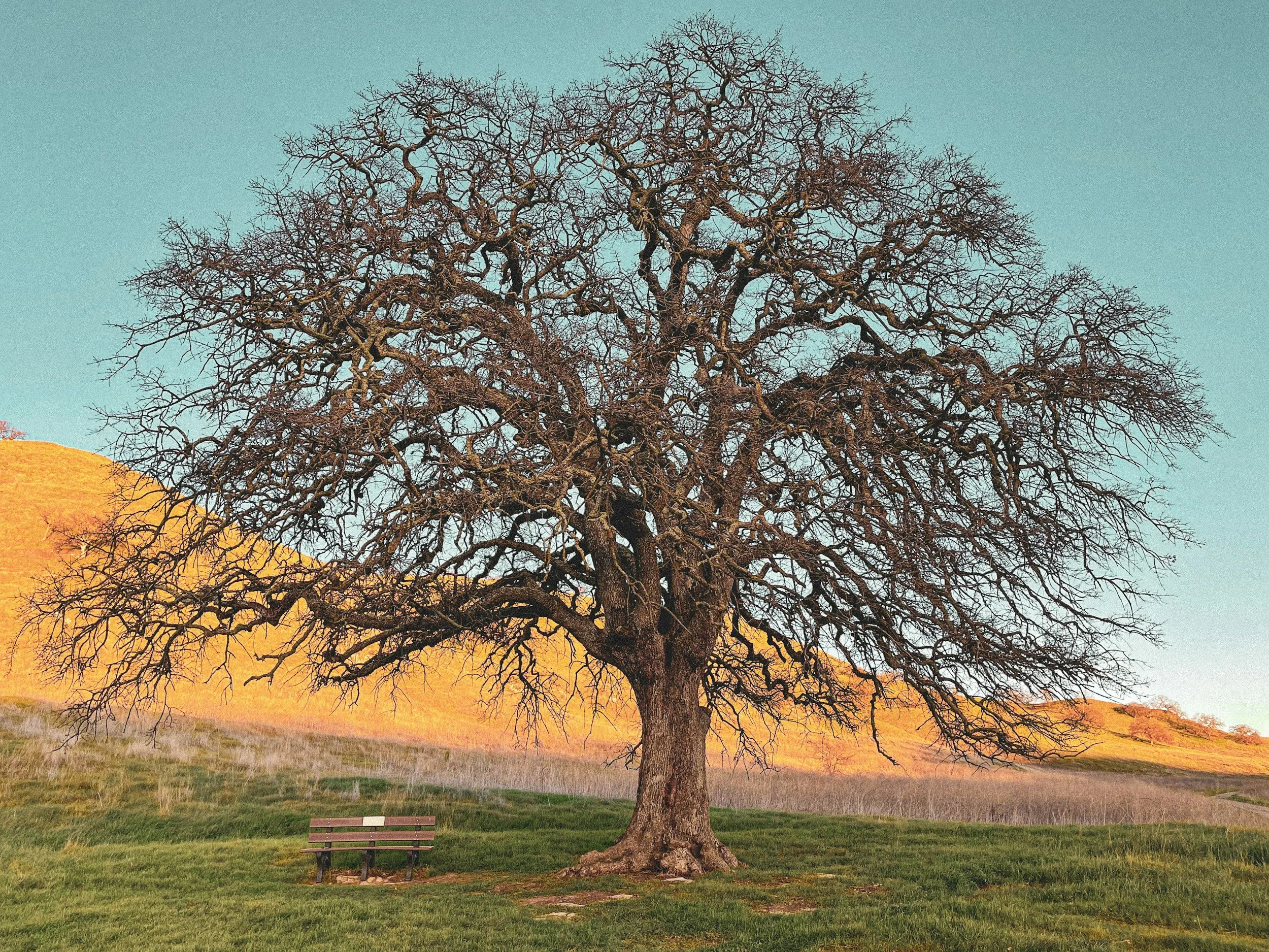 Building a Founder POV