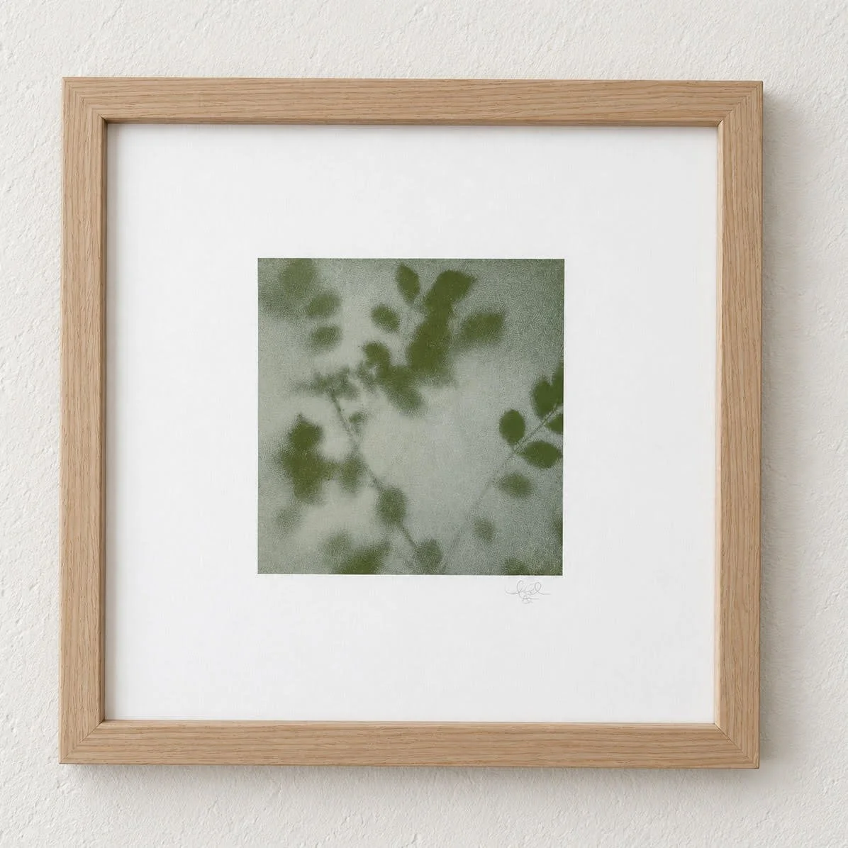 Paul-Petit Botanical 9.jpg