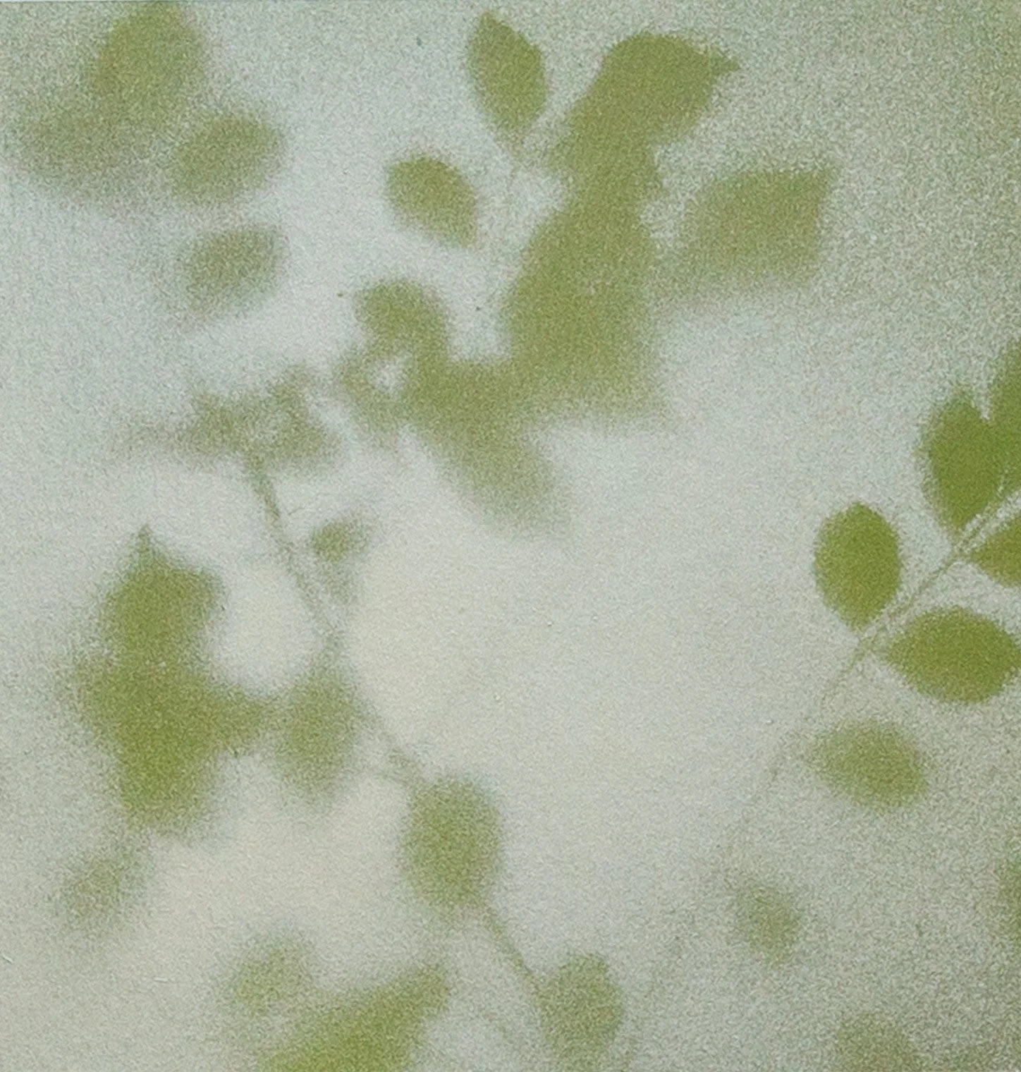 PetiteBotanical9_crop - Chad Anglin.jpg