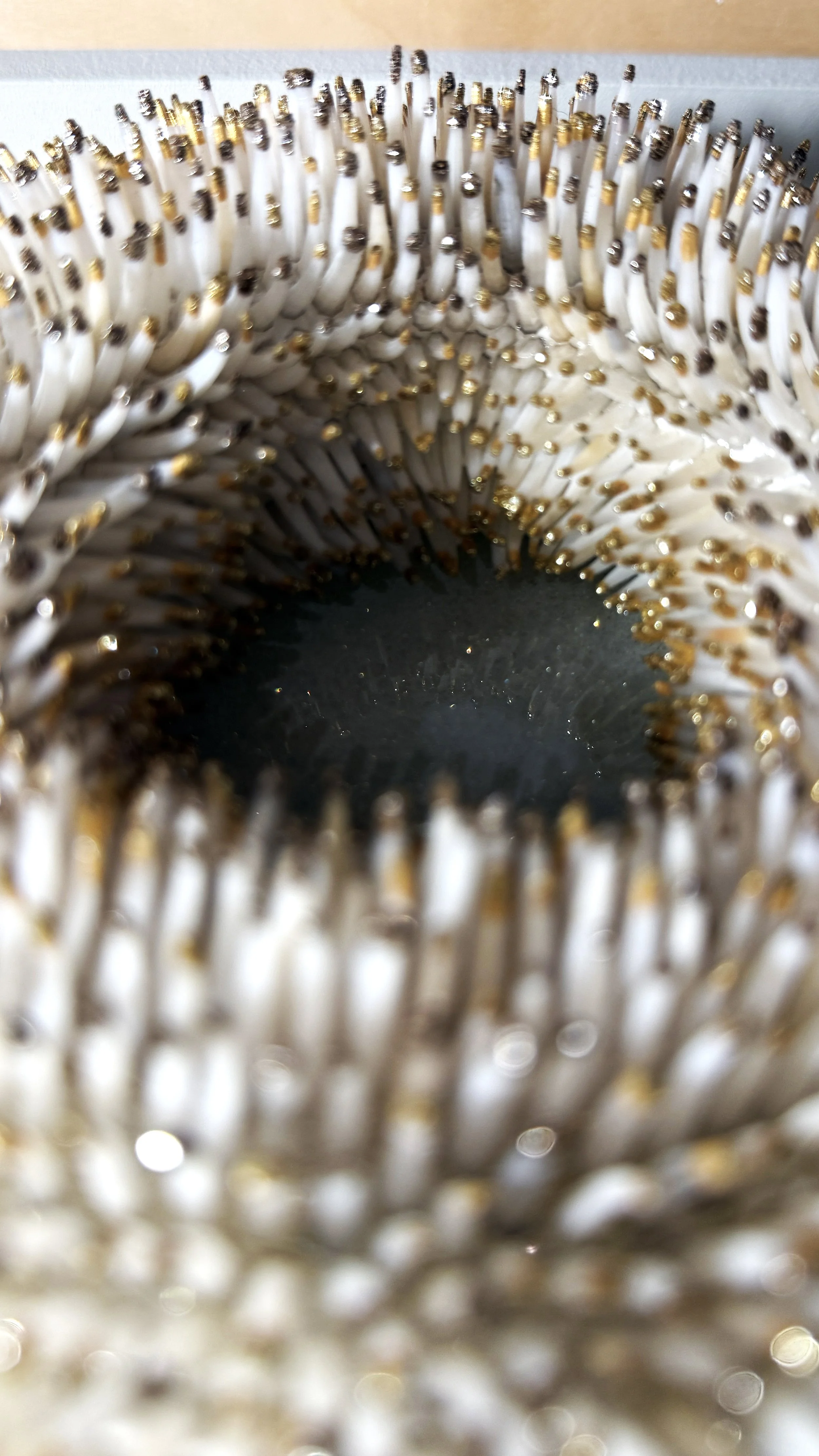 SUNTUSK02_03.jpg