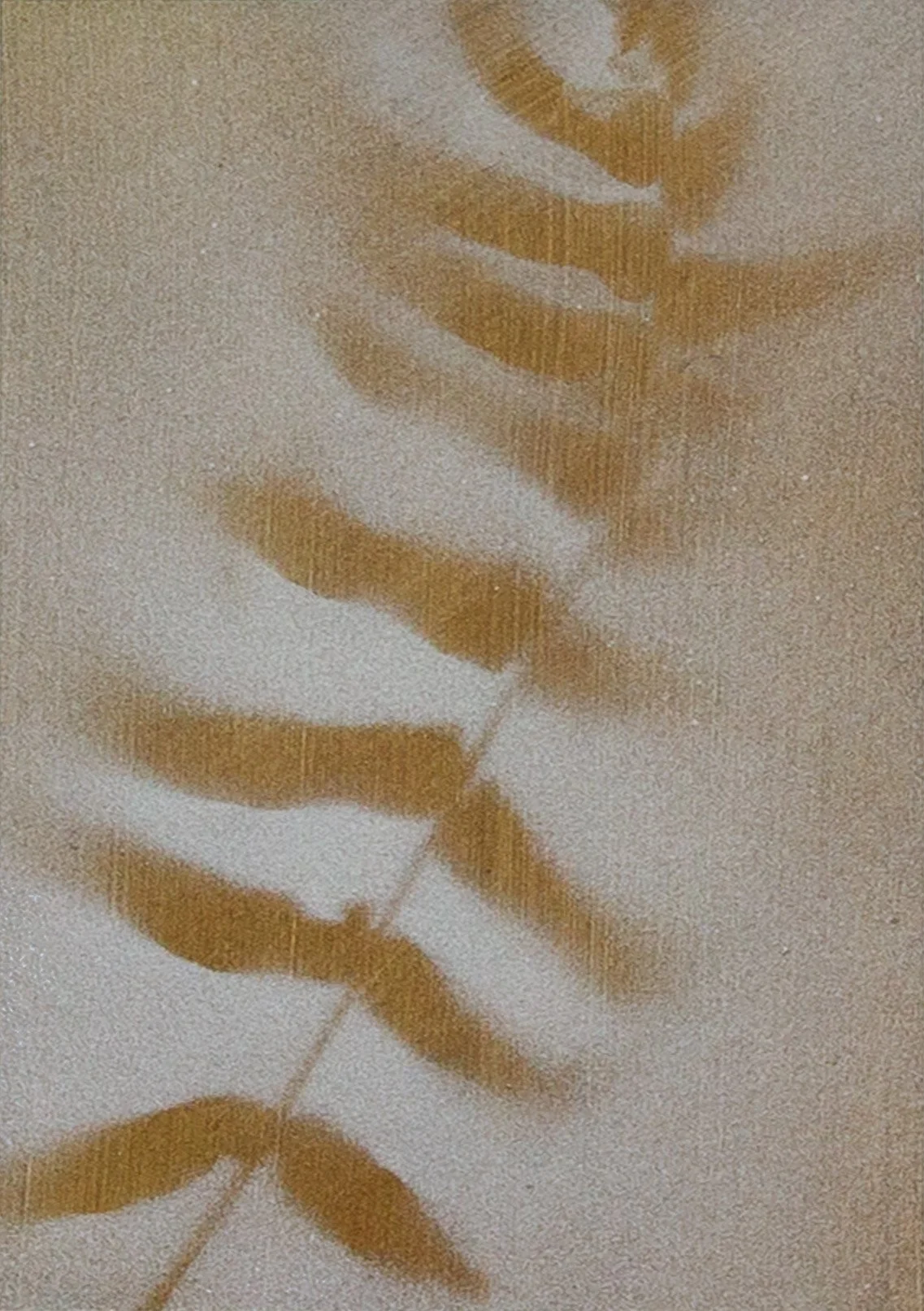 Petite Botanical #5 by Amy Paul