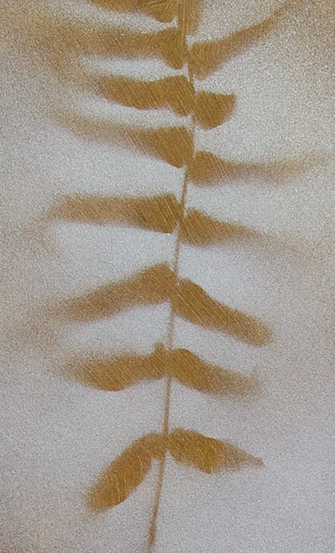 Petite Botanical #14 by Amy Paul