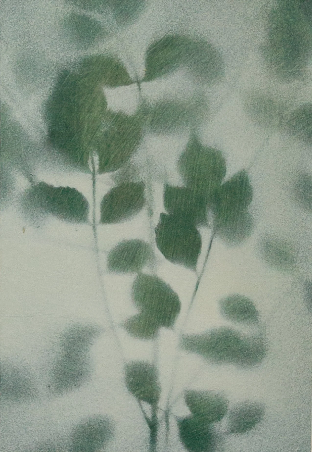 PetiteBotanical6_crop - Chad Anglin.jpg