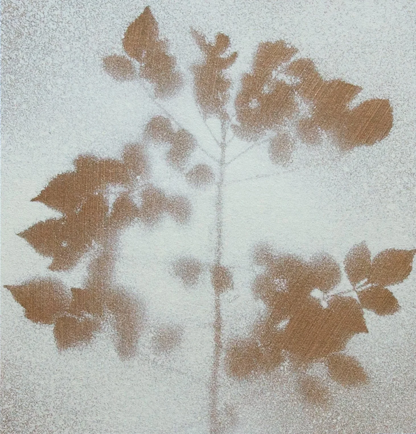 PetiteBotanical15_crop - Chad Anglin.jpg