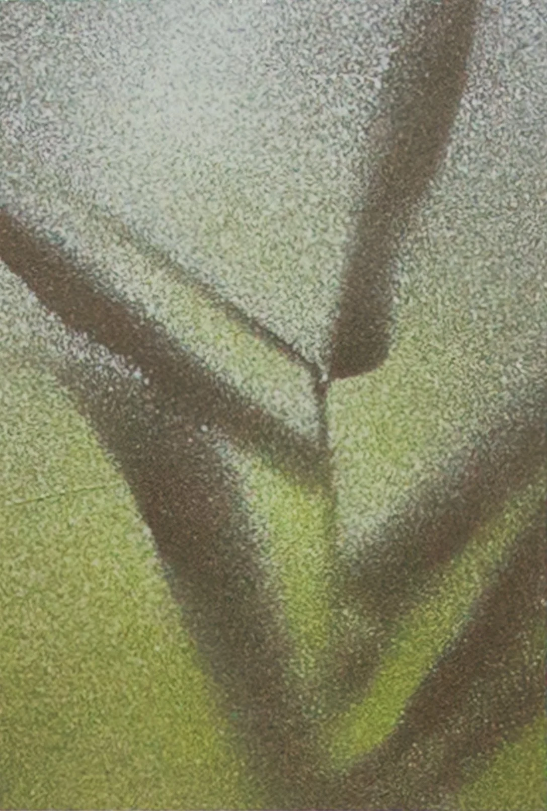 Petite Botanical #1 by Amy Paul
