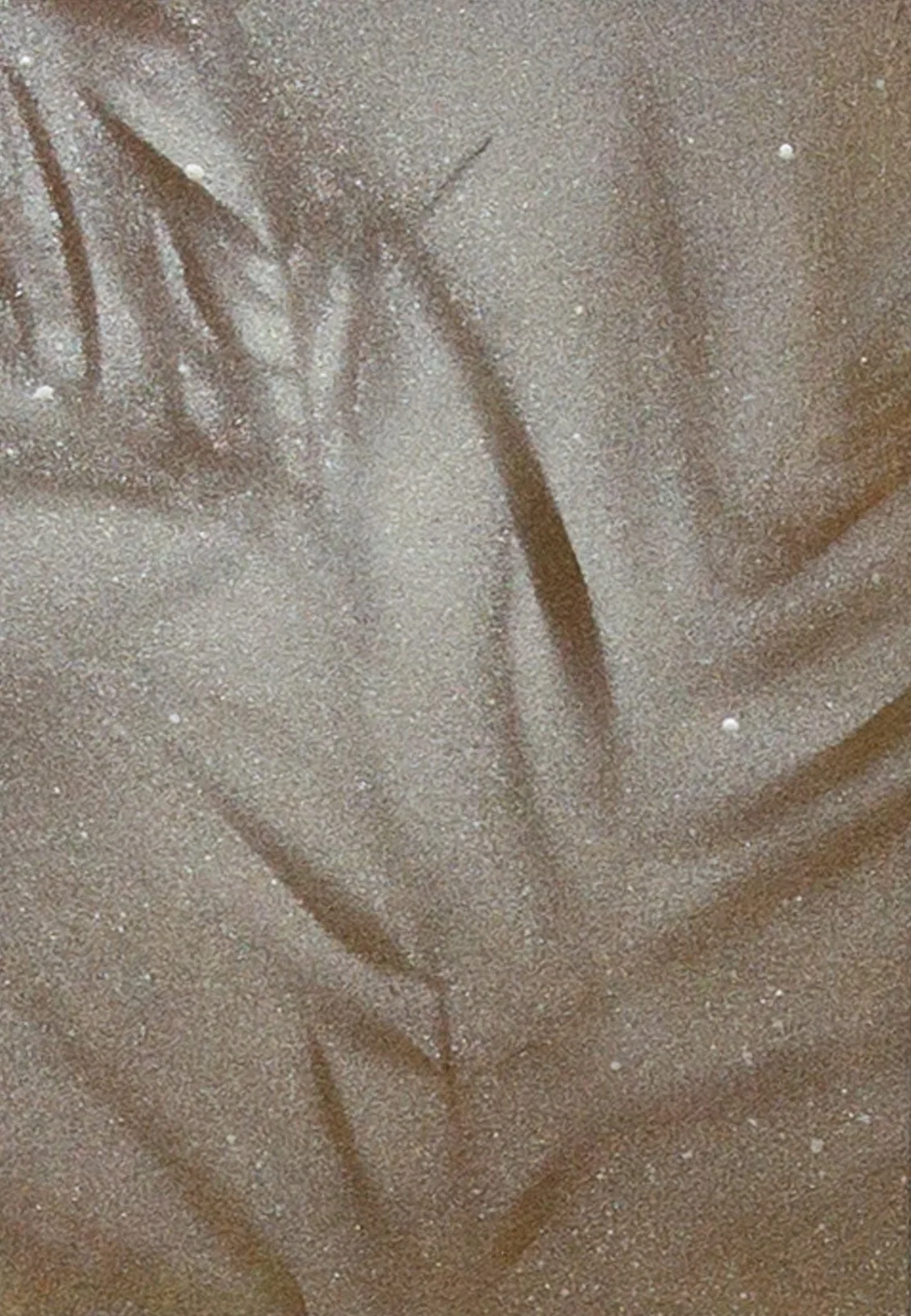 PetiteBotanical11_crop - Chad Anglin.jpg