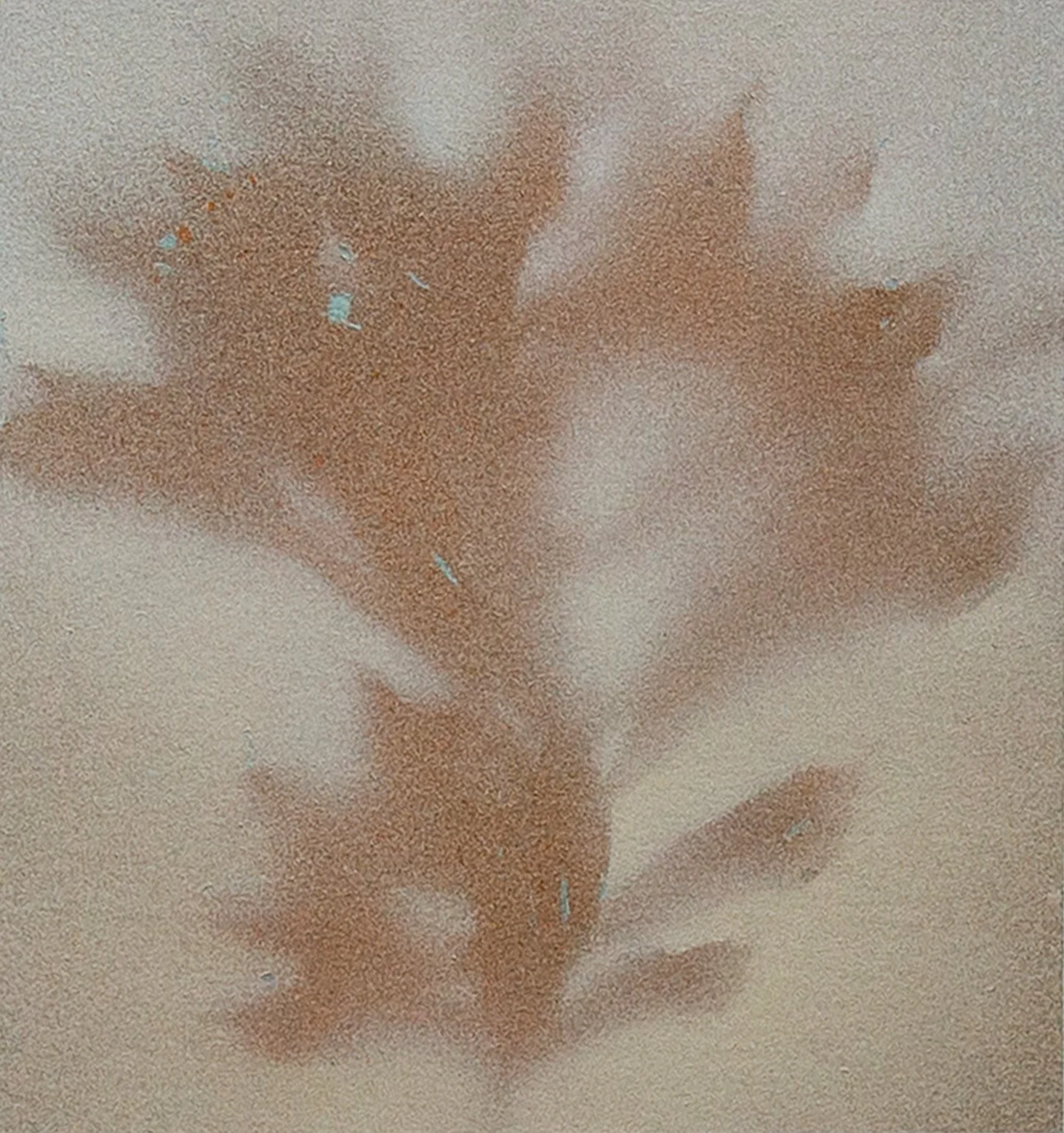 PetiteBotanical12_crop - Chad Anglin.jpg