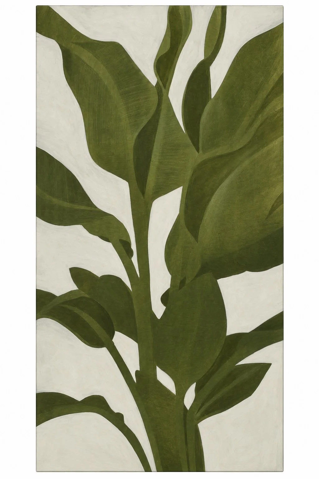 Canopy by Amy Paul