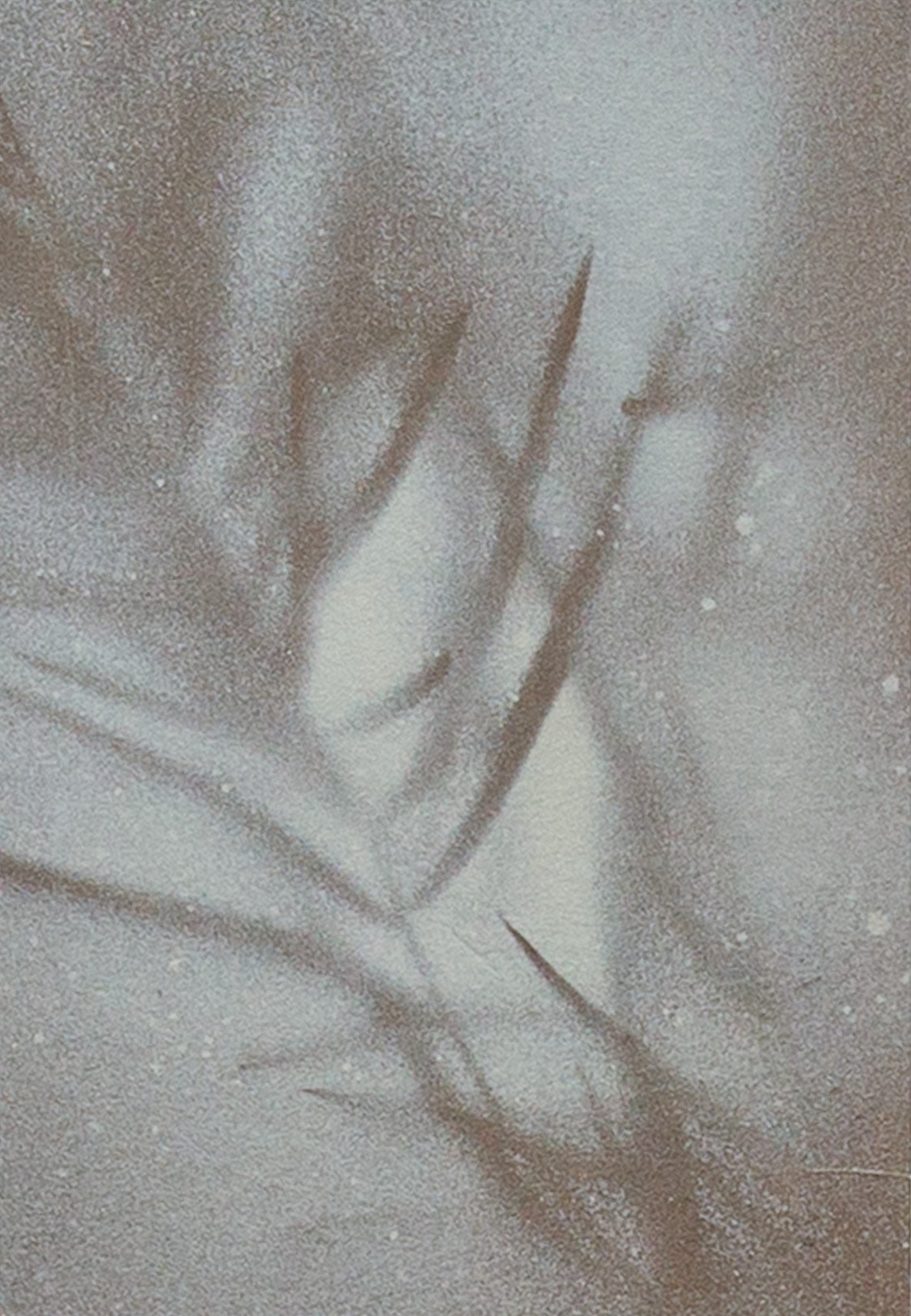 Petite Botanical #10 by Amy Paul
