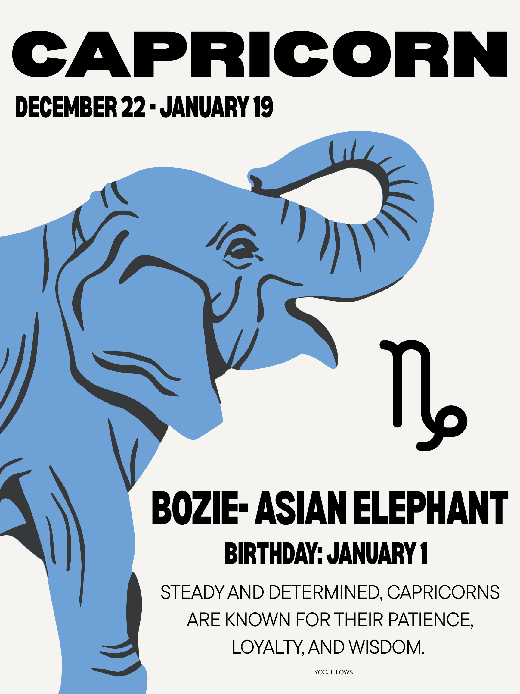 A graphic featuring a blue illustration of an Asian elephant with the word "Capricorn" and the dates December 22 to January 19. It also displays the zodiac sign's symbol and the text "Bozie - Asian Elephant," along with the birthday January 1 and a description about Capricorns as steady and determined.