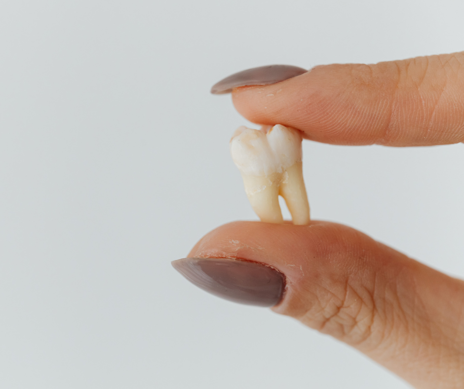 Close-up of a hand holding an extracted tooth, illustrating root canal treatment concepts