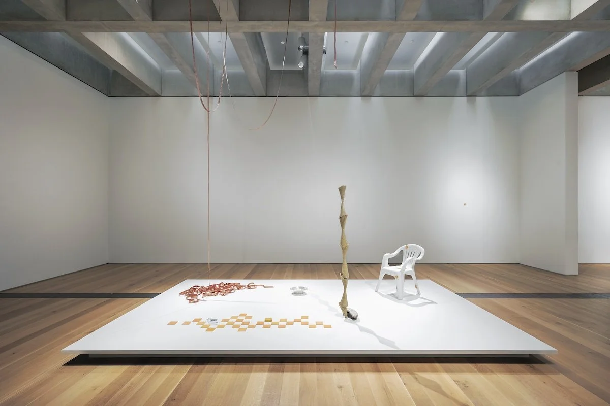 Currents 123: Tamara Johnson (installation view), 2024, Saint Louis Art Museum