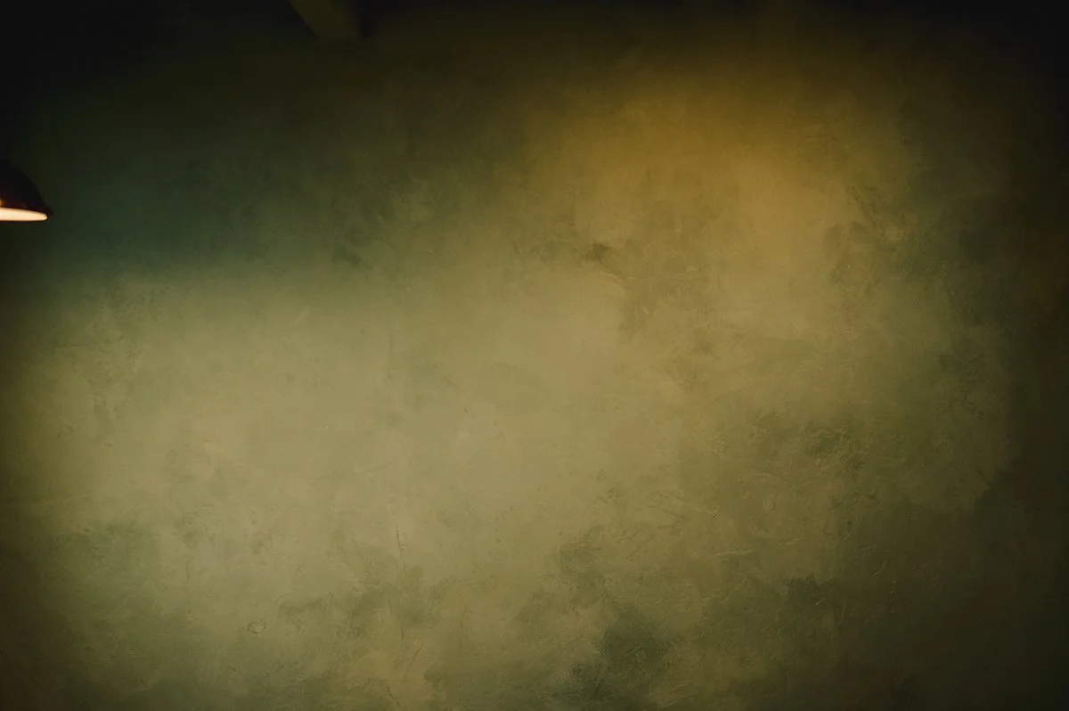 Final interior overview of a remodeled garden shed with Cypress Ink limewash walls.