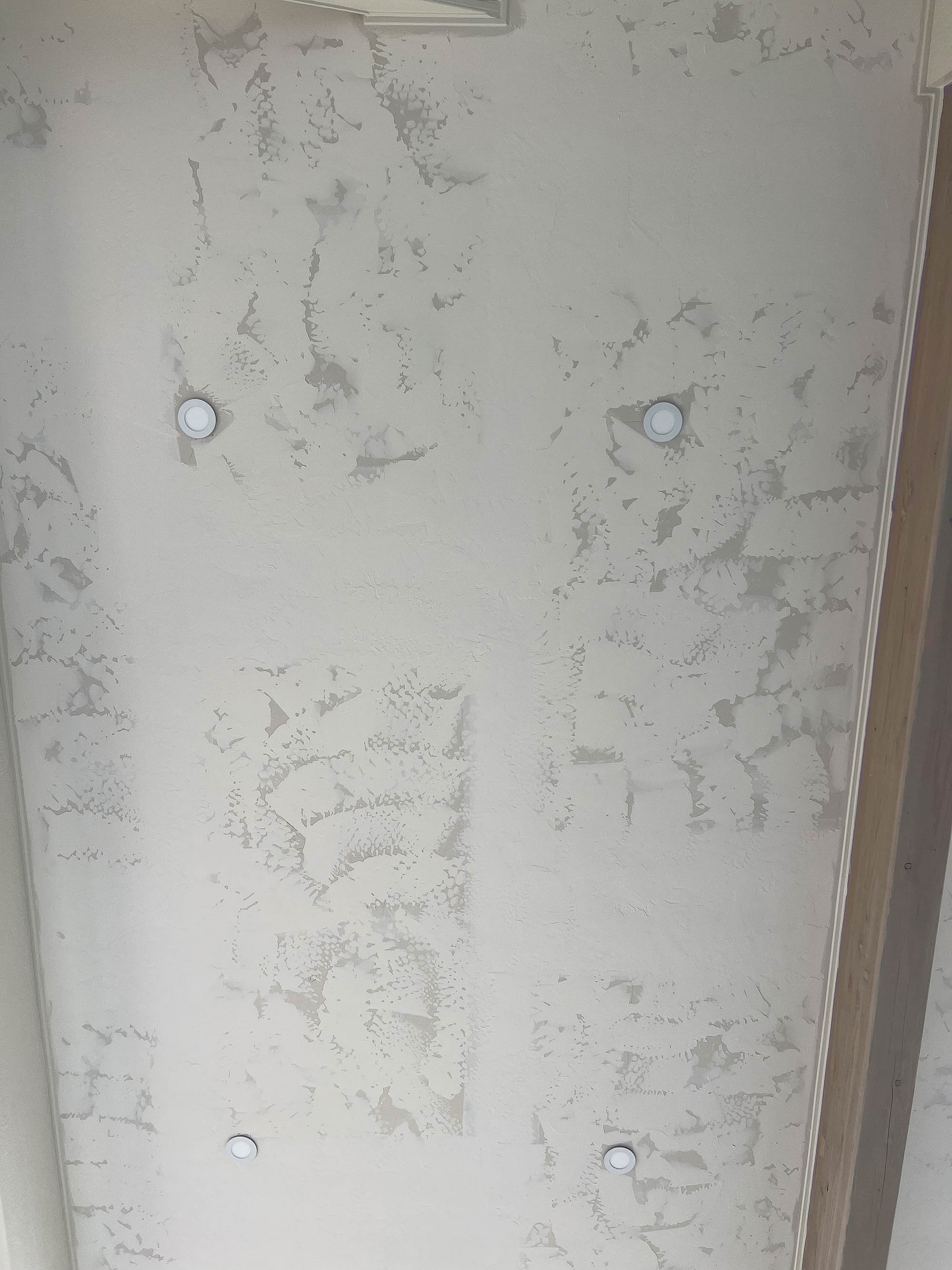 limewash-ceiling-prepwork-tricities-wa.jpg