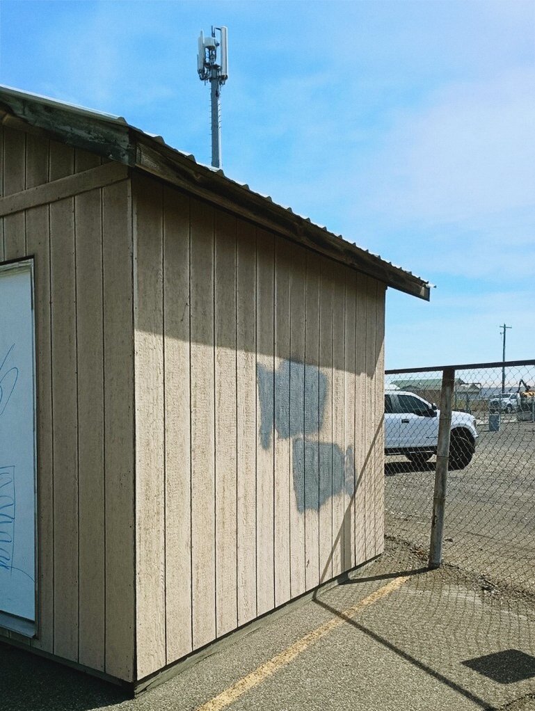 Original garden shed exterior before limewash renovation in Prosser, Washington.