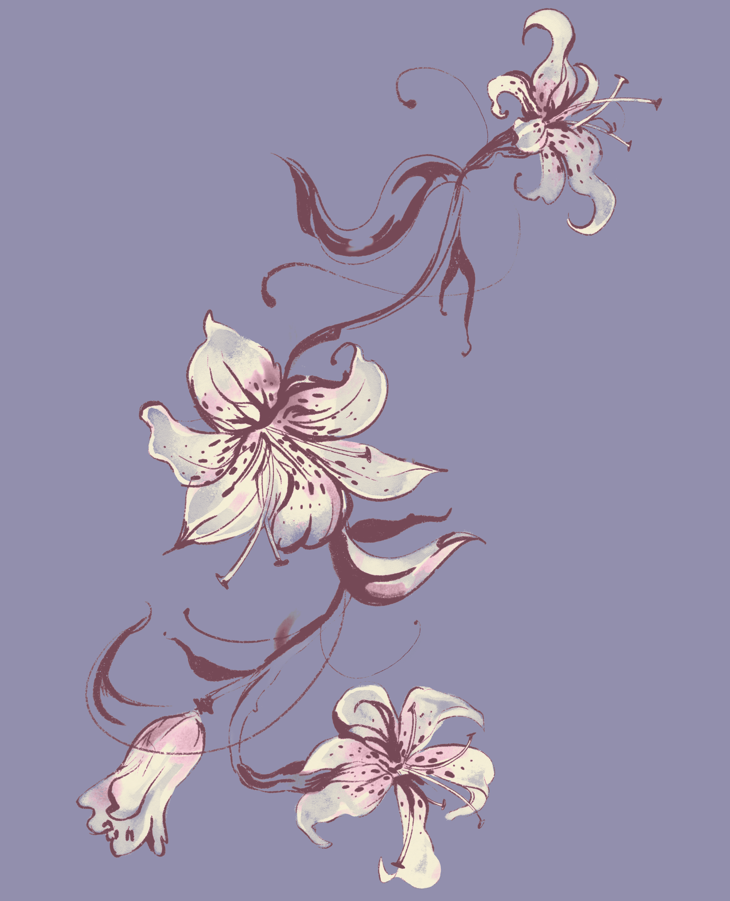 Untitled_Artwork (18).PNG