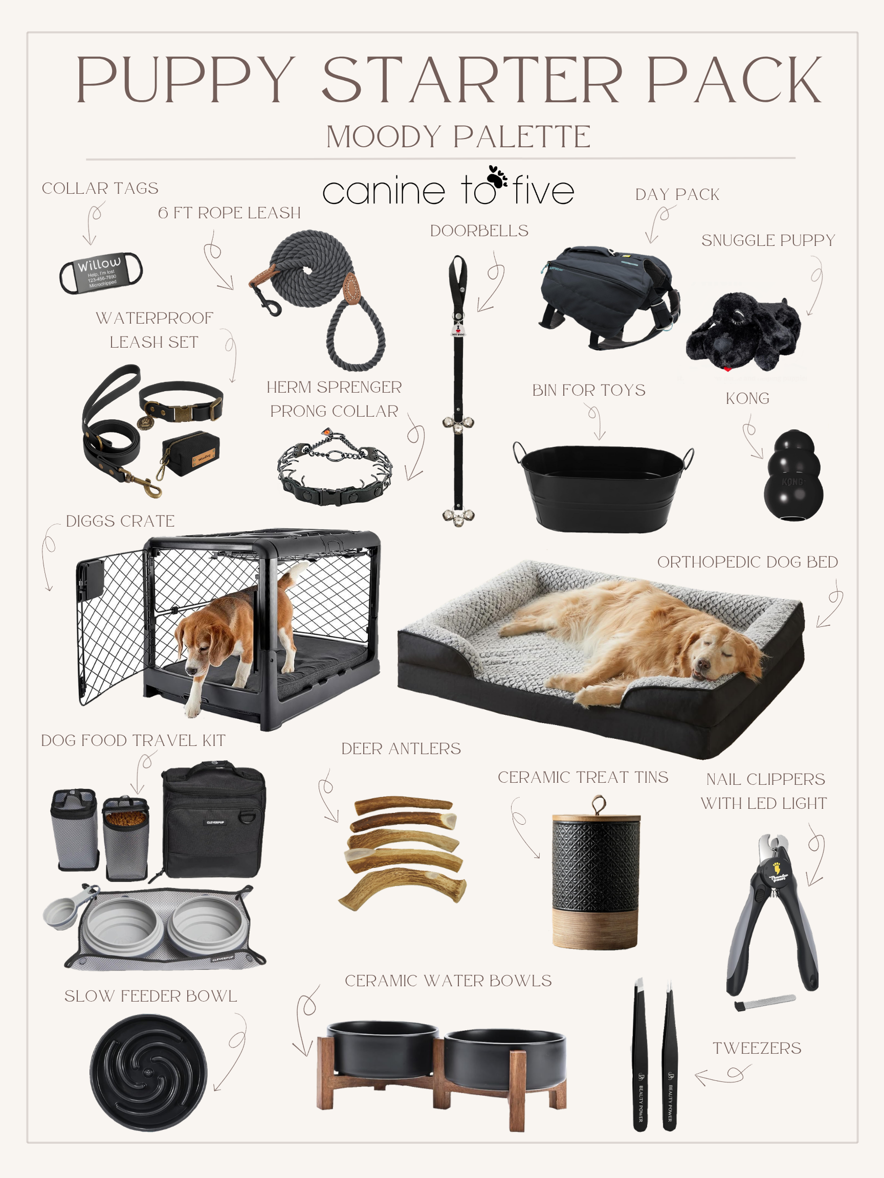 Puppy Starter Pack-Moody Palette