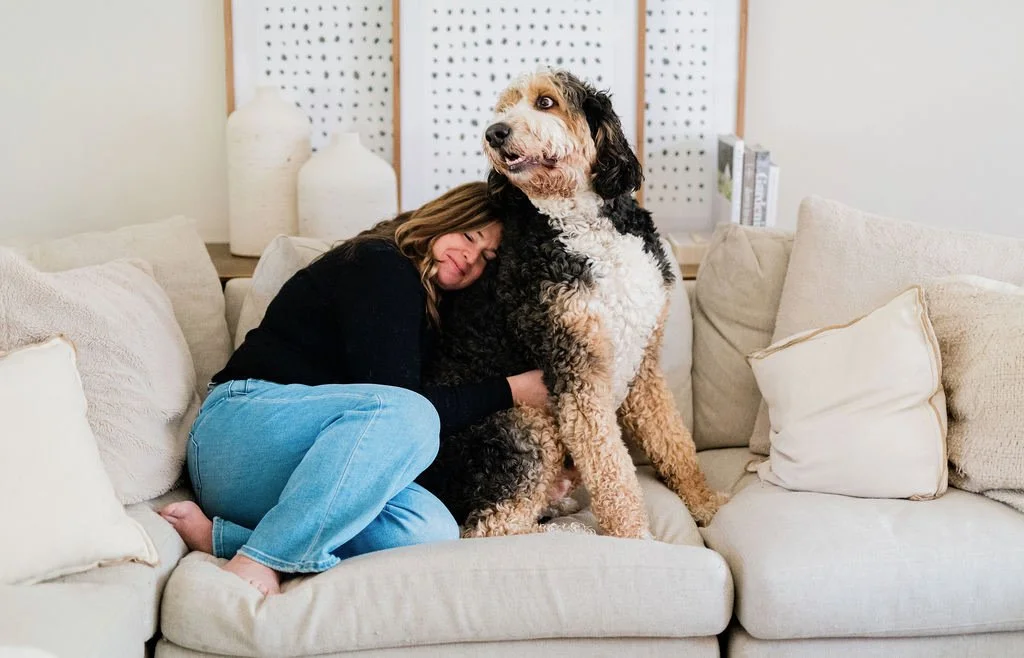 A woman sitting on a beige couch hugging a large black and white dog.