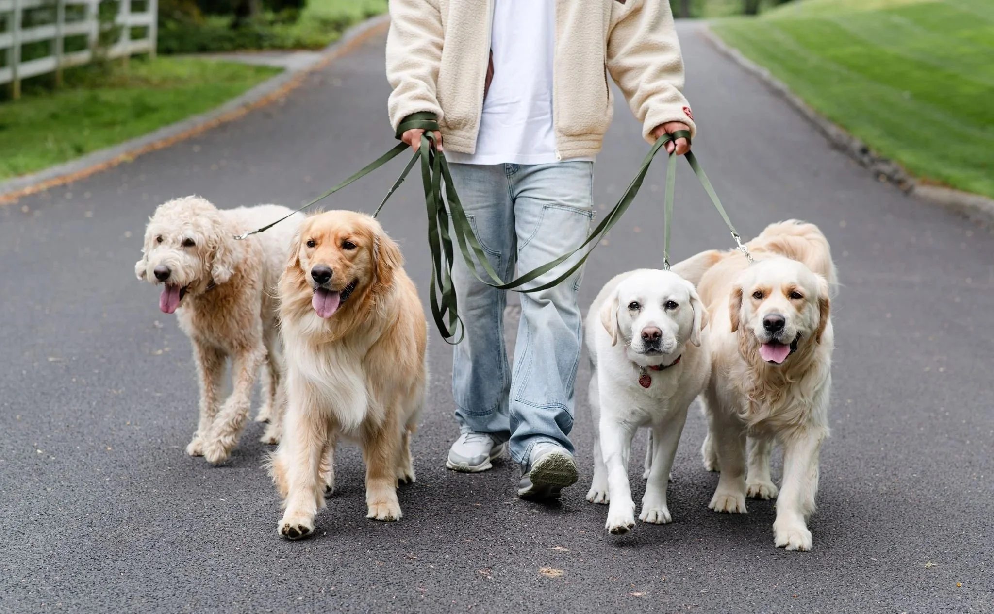 A group of people standing on grass, each holding a leash attached to a different dog. The dogs vary in breed and size, including a small black dog, a tan and white dog, a brown and white dog, a black and white Border Collie, a golden retriever, and a large black and brindle dog. The people are dressed in leggings and athletic shoes.
