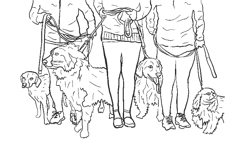 Outline drawing of four people standing with four dogs on leashes.