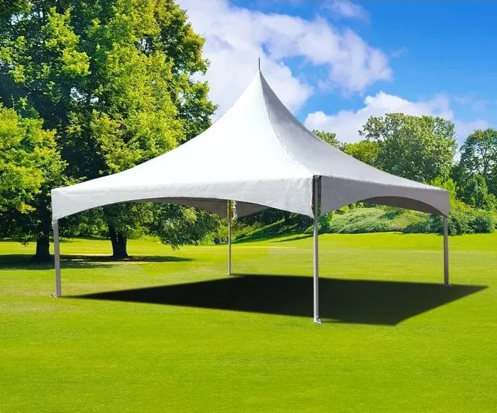 20'x20' Party Package