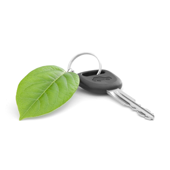 A key with a green leaf attached to it.