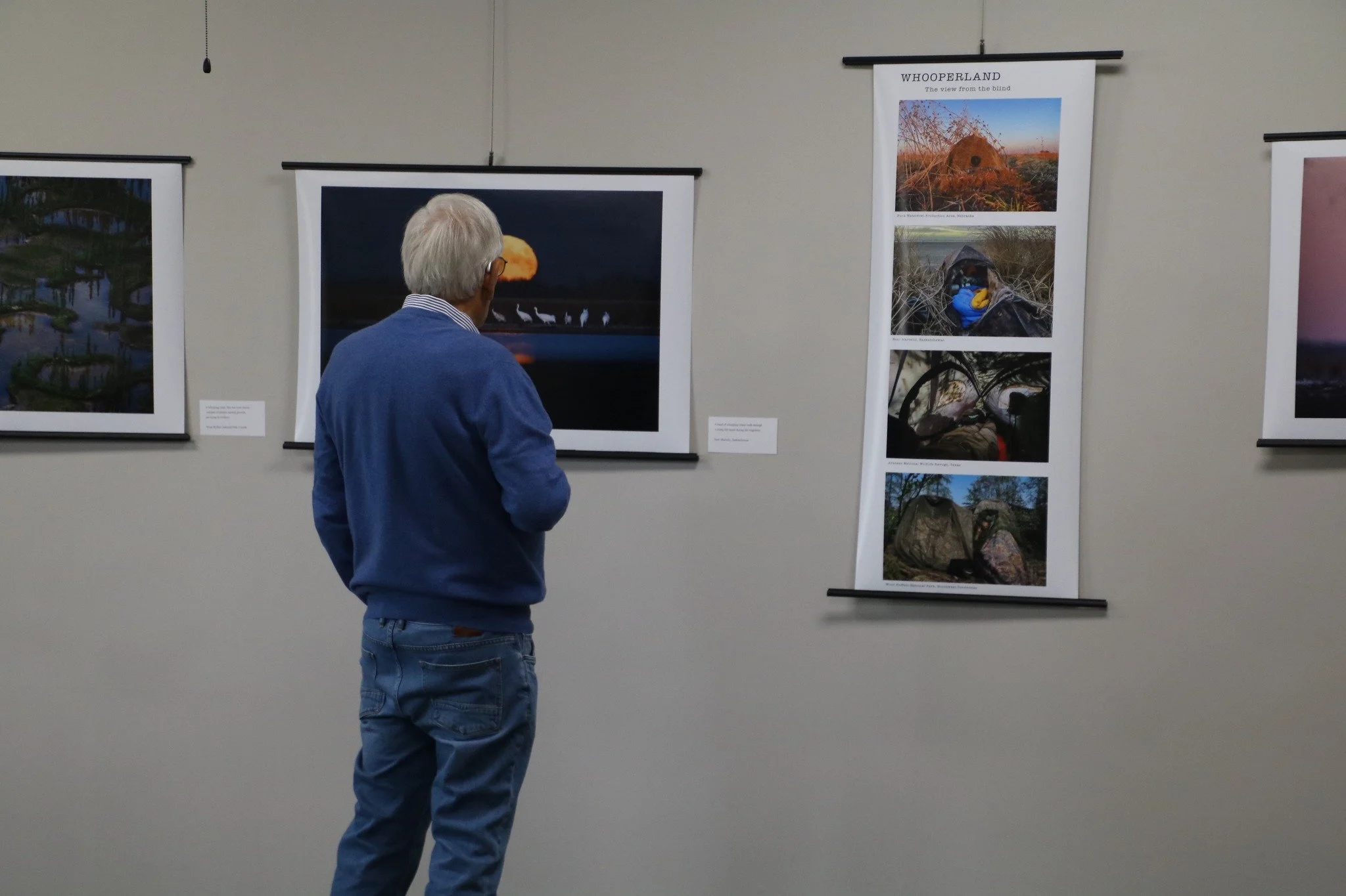 Viewing Forsberg's work, courtesy Visit37.