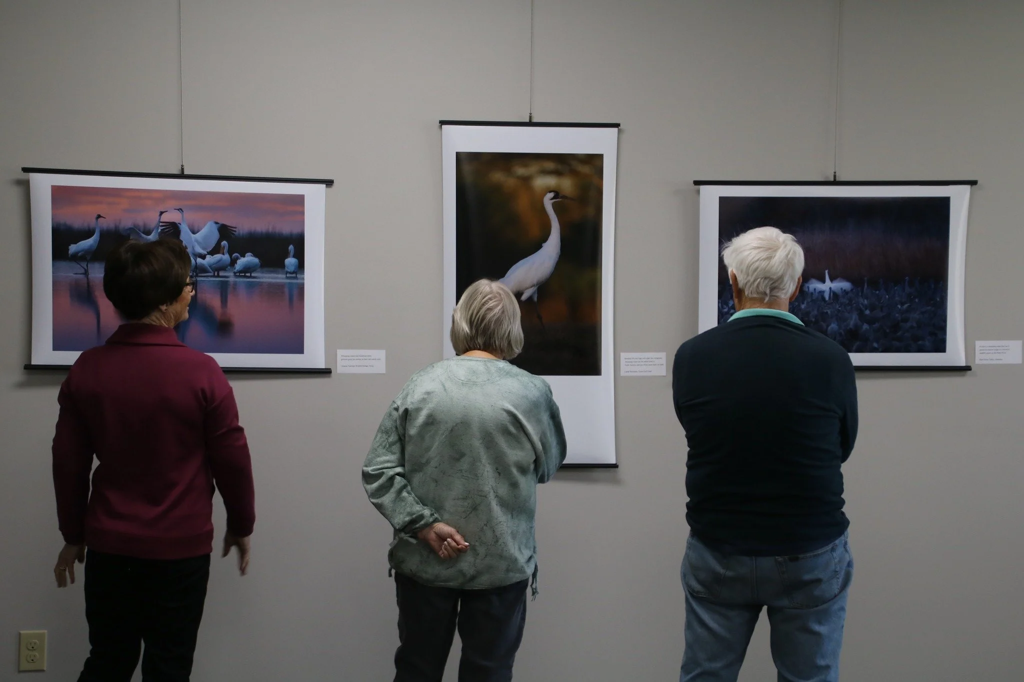 Viewing Forsberg's work, courtesy Visit37.