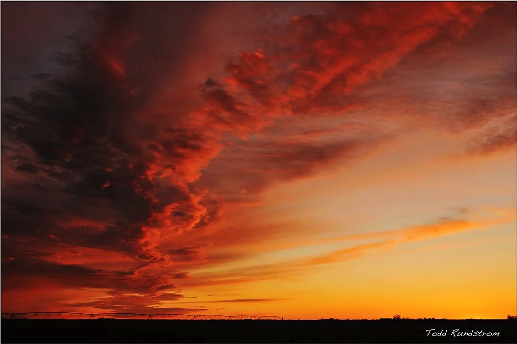 Screenshot 2026-02-10 at 12.08.50 PM.png