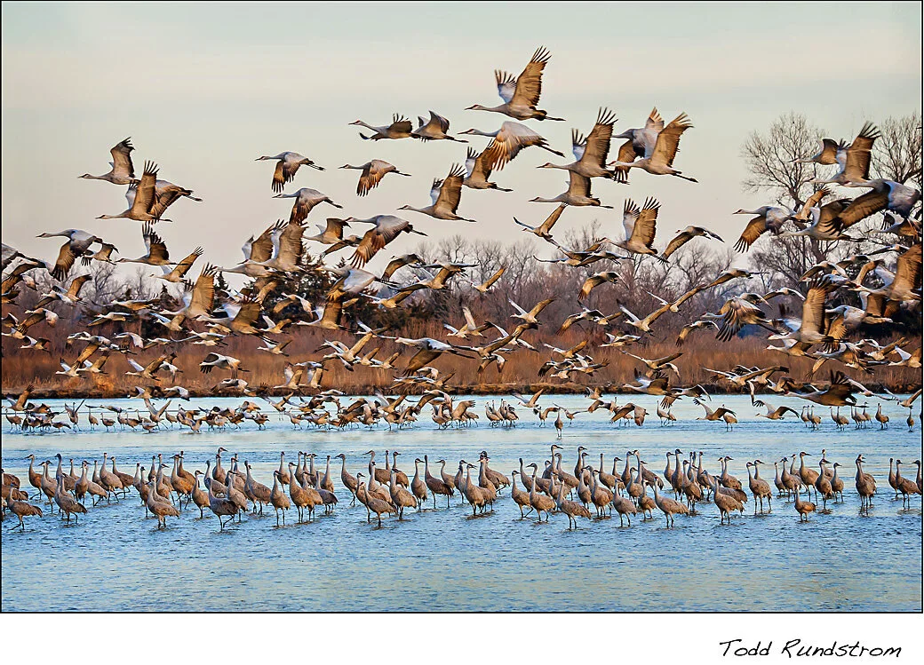 Screenshot 2026-02-10 at 12.11.24 PM.png