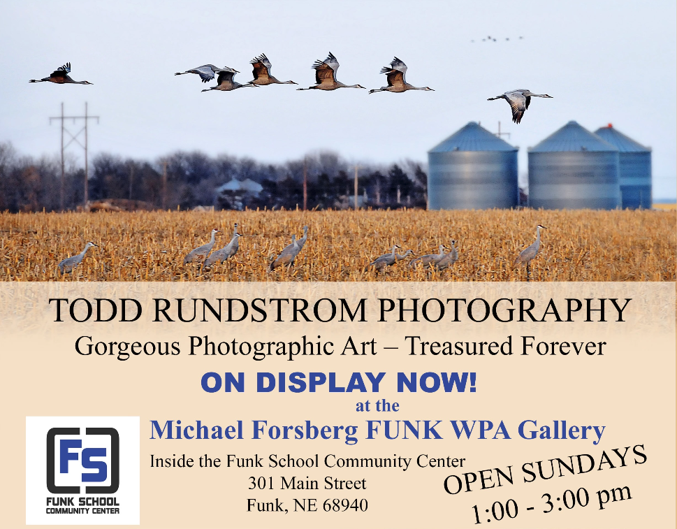 Screenshot 2026-02-10 at 12.07.35 PM.png