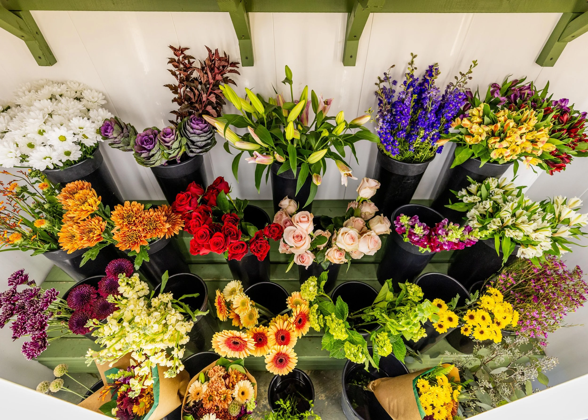 A display of various colorful flowers in black pots arranged on green wooden shelves against a white wall.