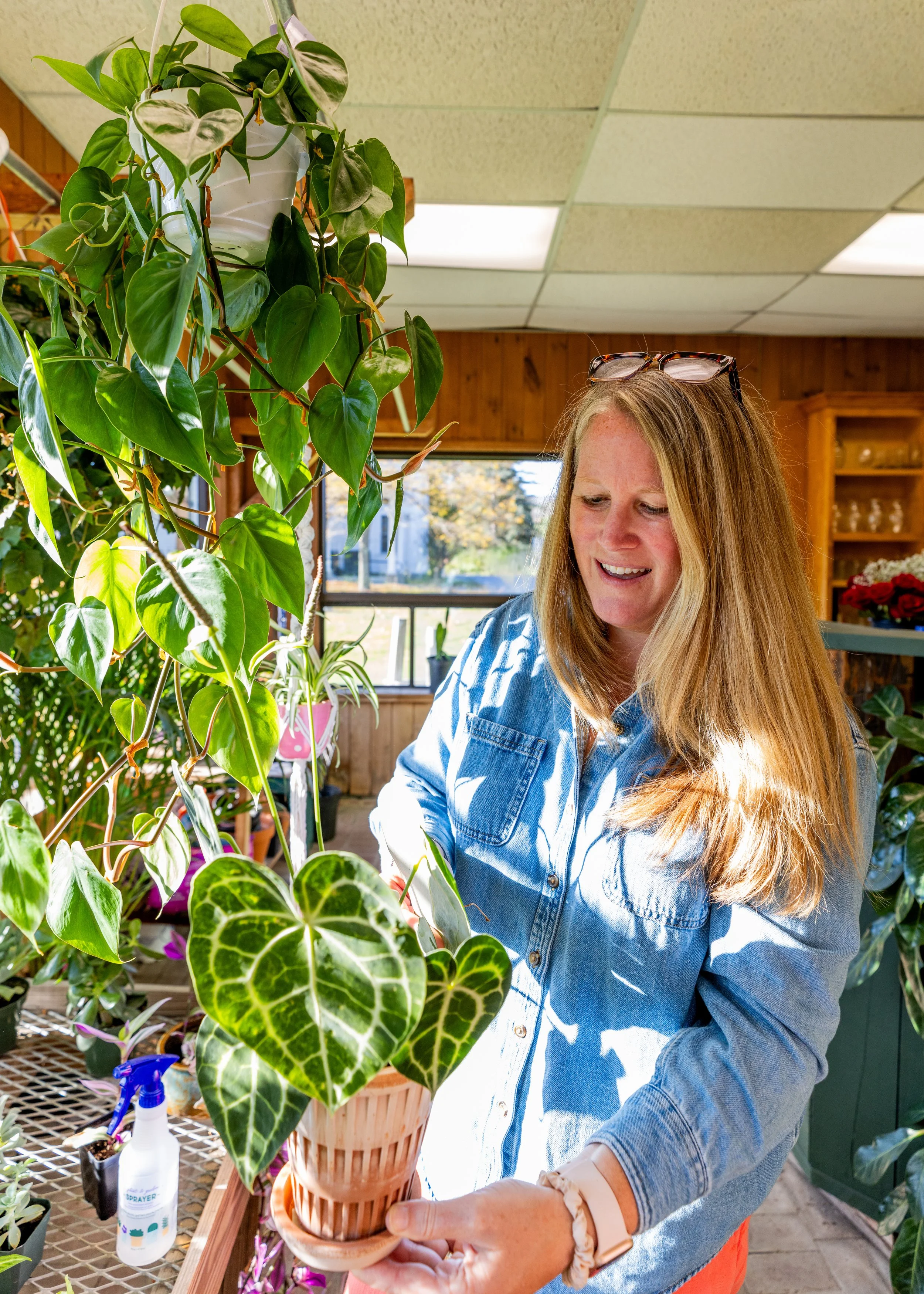 Woman with long blonde hair wearing glasses on her head, manning a potted ivy plant in a sunlit nursery or plant shop.