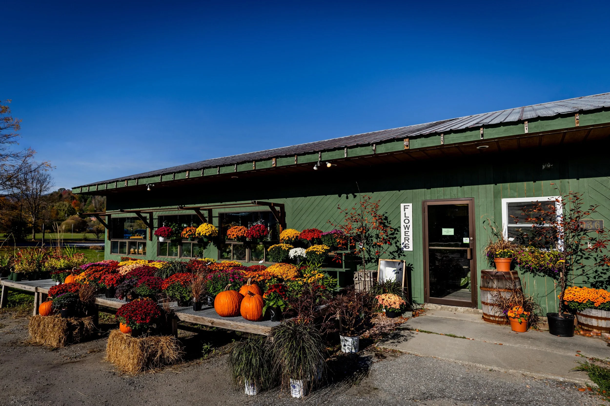 Green flower shop building with pumpkins, potted plants, and colorful fall flowers outside