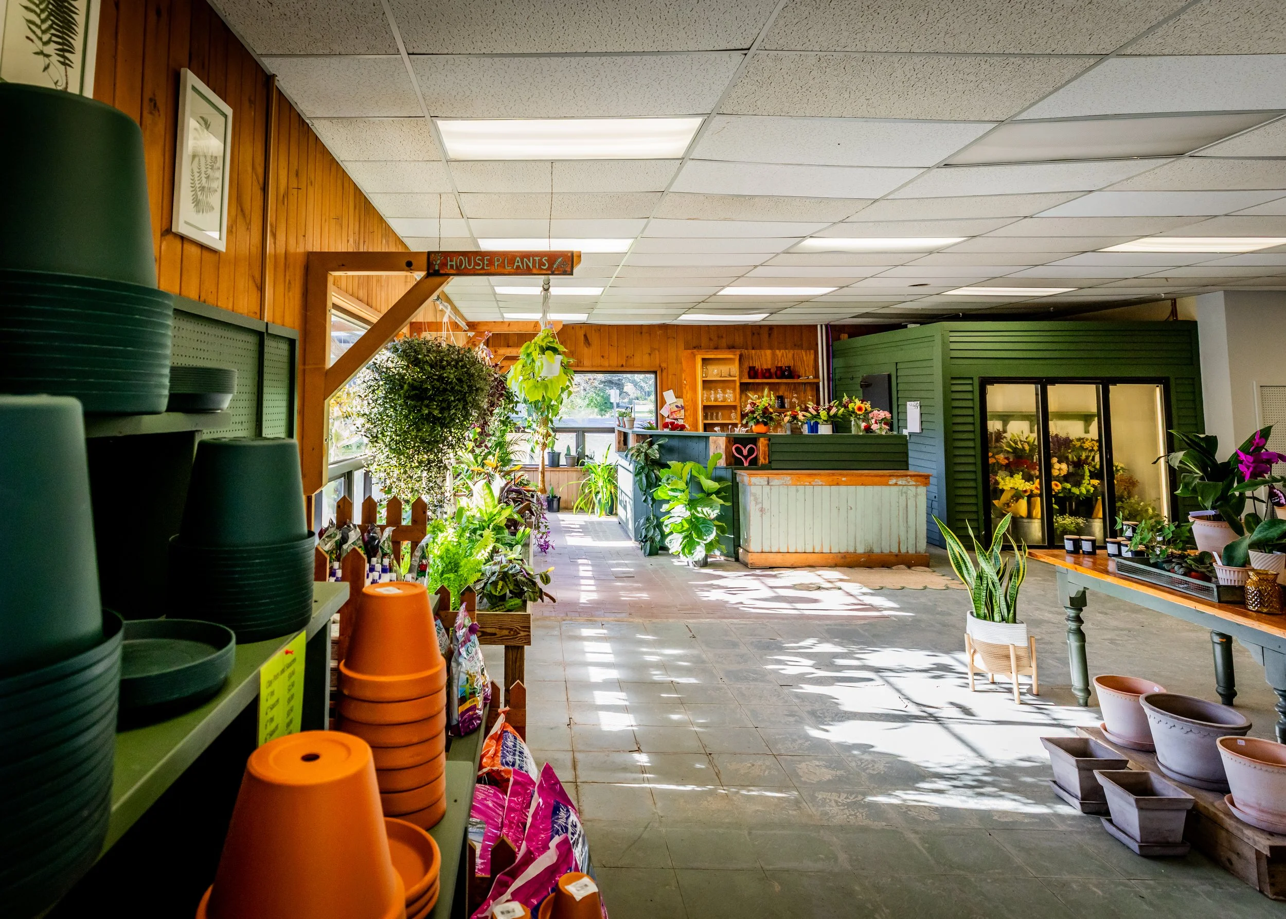 Interior of a plant shop with shelves of pots, plants, and flowers, and a wooden counter in the background.