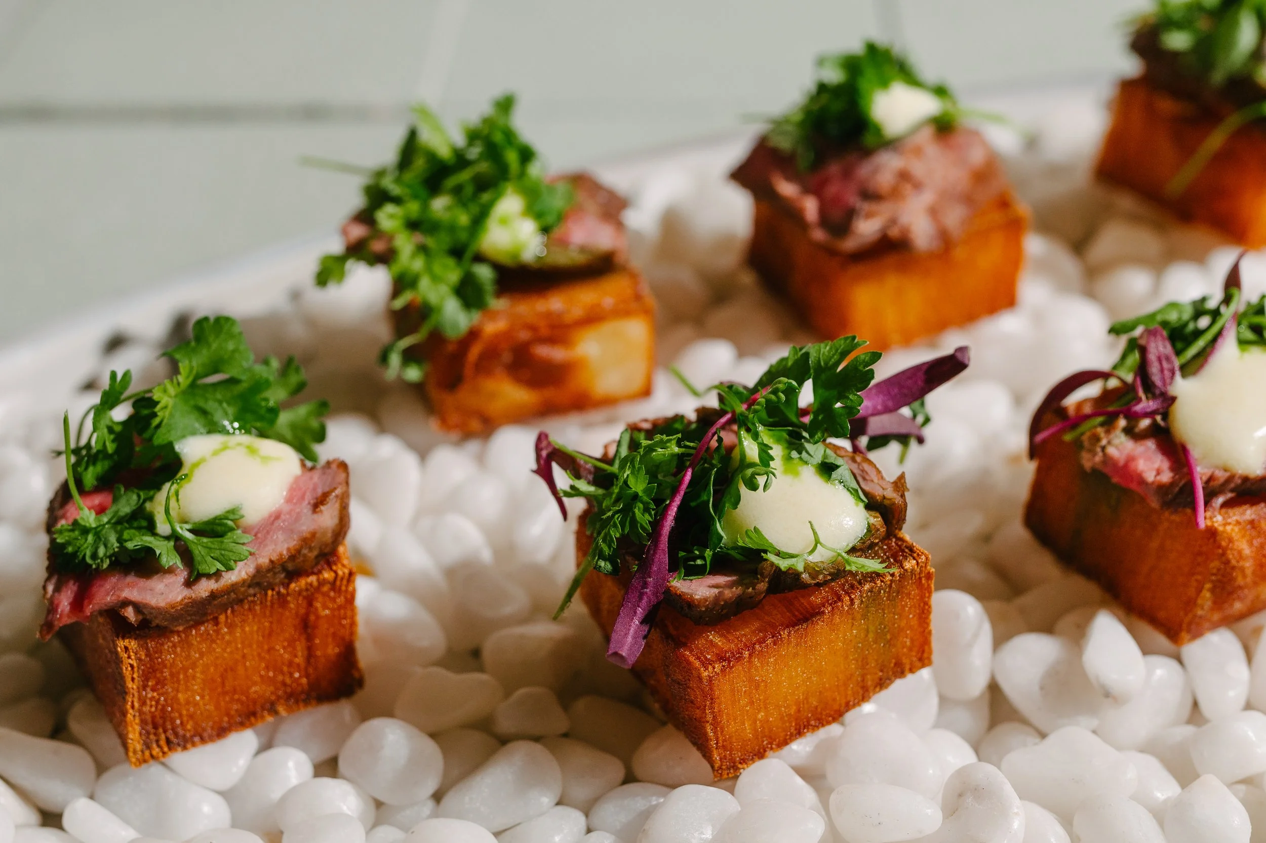 Appetizer with cubes of cooked meat on crispy rectangular tofu, garnished with green herbs, served on a bed of white beans.