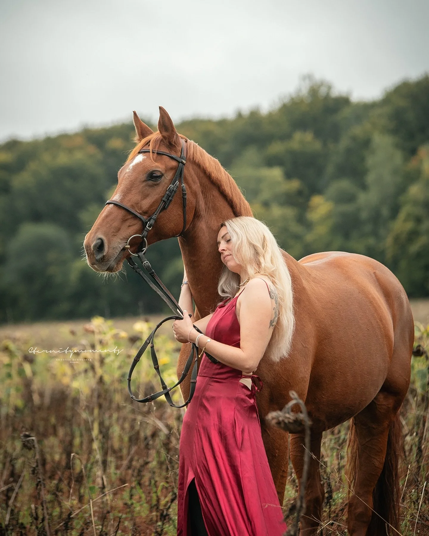 A M E L I E &amp; S A L L Y 🧡

Letztens durfte ich Amelie, die ich auf einer meiner diesj&auml;hrigen Hochzeiten kennengelernt habe, wiedersehen. Aber nicht alleine, sondern mit ihrer Stute Sally ☺️. 

Dabei sind diese Bilder entstanden 😍 als ich d