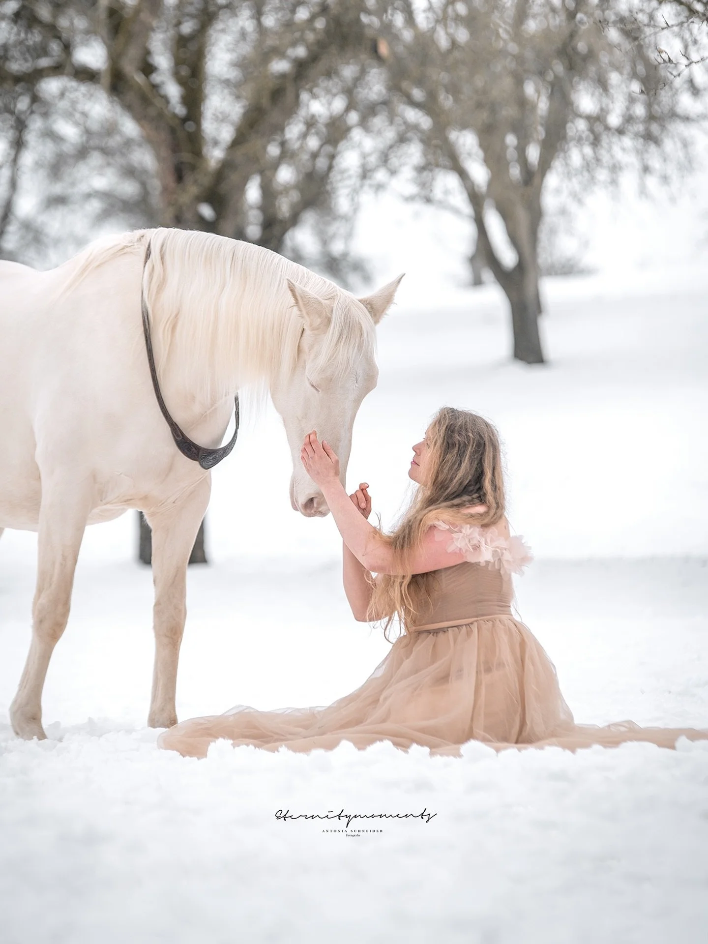 N A N C Y &amp; 

Noch ein winterliches Bild ✨ versprochen bald kommen Fr&uuml;hlingsbilder 😂👀 aber die Bilder aus dem Fotoshooting mit Nancy &amp; ihren Pferden sind einfach so wundersch&ouml;n 🥹✨
