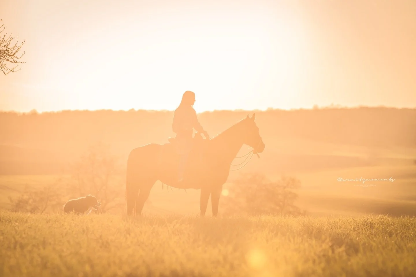 S E L I N A &amp; C A T H Y ✨

Ich freue mich so, dass jetzt wieder der Fr&uuml;hling kommt 😍 letztes Jahr um diese Zeit, haben Selina &amp; ich bei unserem Shooting einfach einen so wahnsinnig sch&ouml;nen Sonnenuntergang bekommen 🥰! Und ich bin i