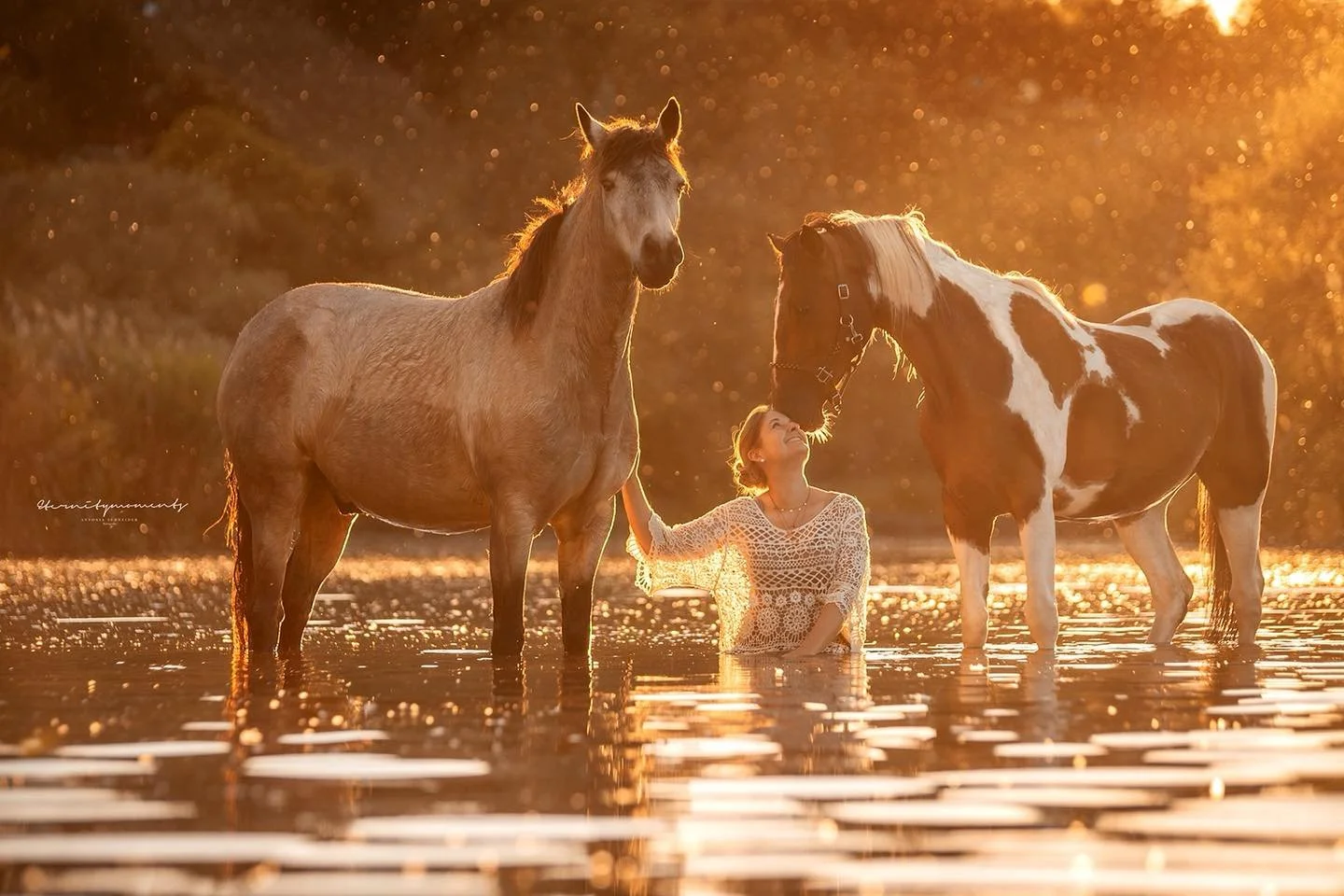 Q | A L I S A | H O L L Y ✨

Goldenes Abendlicht, leises Pl&auml;tschern und ein Moment, den wir so schnell nicht vergessen werden. ✨

Vor gerade einmal vier Wochen kam Holly aus den USA nach Deutschland. So viel Neues, so viele Eindr&uuml;cke &ndash
