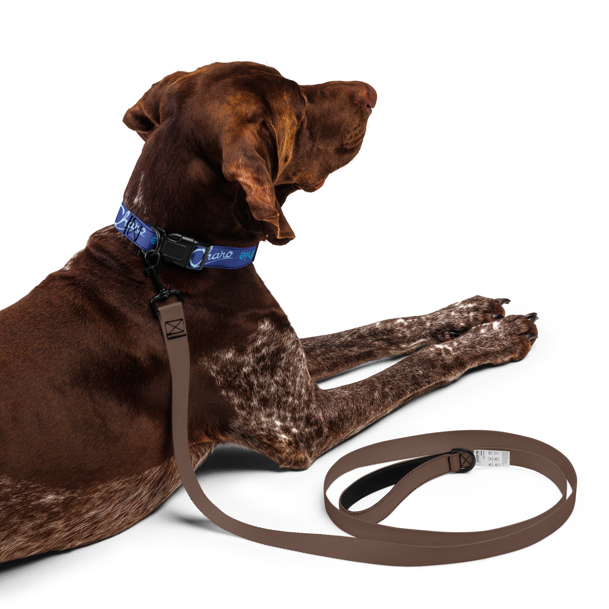 pet-collar-white-l-front-697026f7db149.png