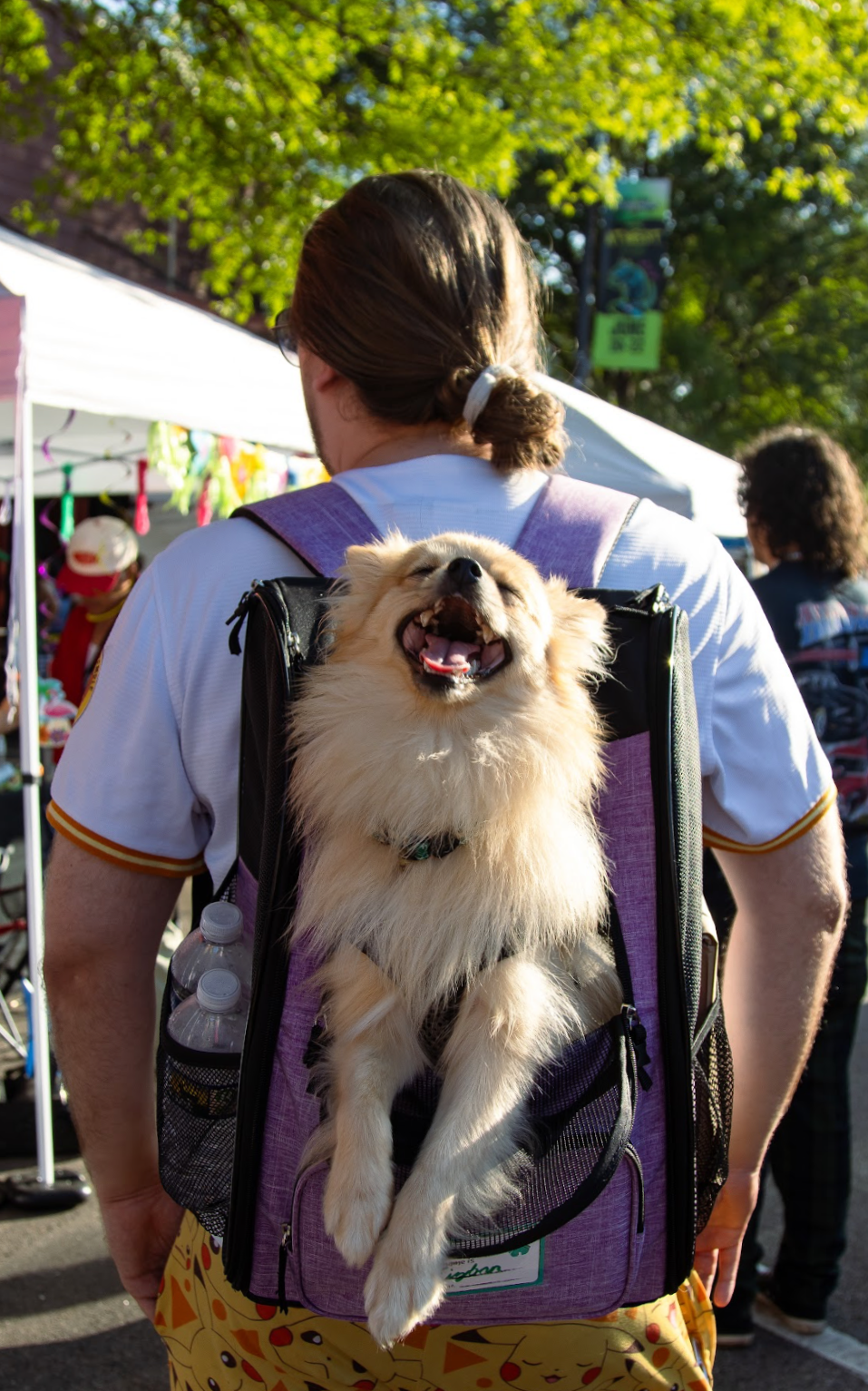 Athens Music Festival - June 2025