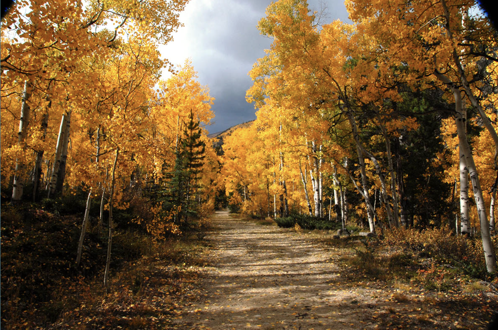 Best Fall Hikes (and Strolls) Around Golden