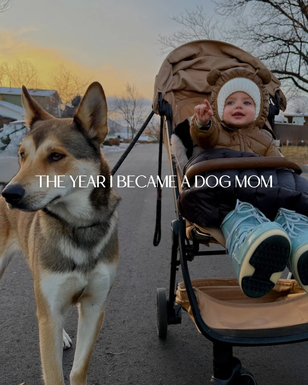 2025 was an eventful year 😆 Here&rsquo;s to 2026&hellip; already getting started on planning all HxH events for the year! 💃🏻💃🏻💃🏻